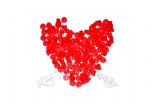 New Design OEM  Packing  Red Tattoo Ink Cup Small Size
