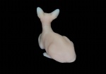 Tattooable Silicone Sphynx Cat