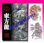 East Dragon Tattoo Falsh